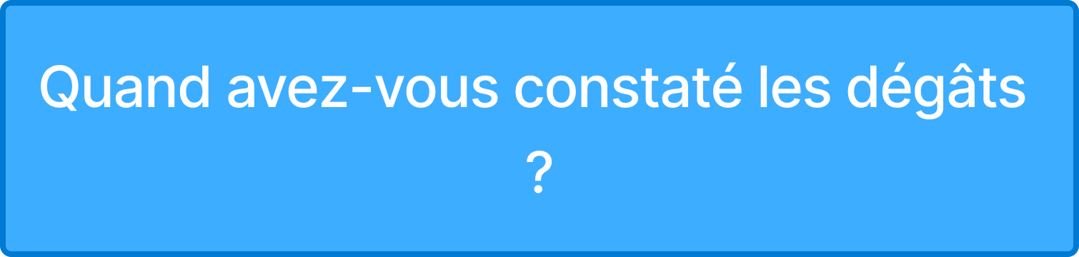 Pill « Quand avez-vous constaté les dégâts ? »